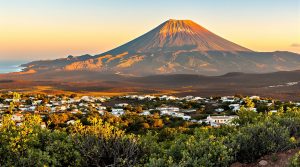 Hvad skal man se på tenerife