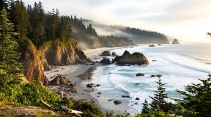 Hvad skal man se på vancouver island