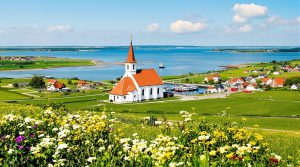 Hvad skal man se på venø