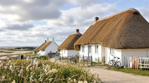 Hvad skal man se på læsø