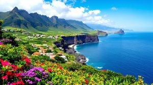 Hvad skal man se på madeira