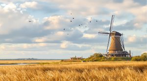 Hvad skal man se i sydjylland