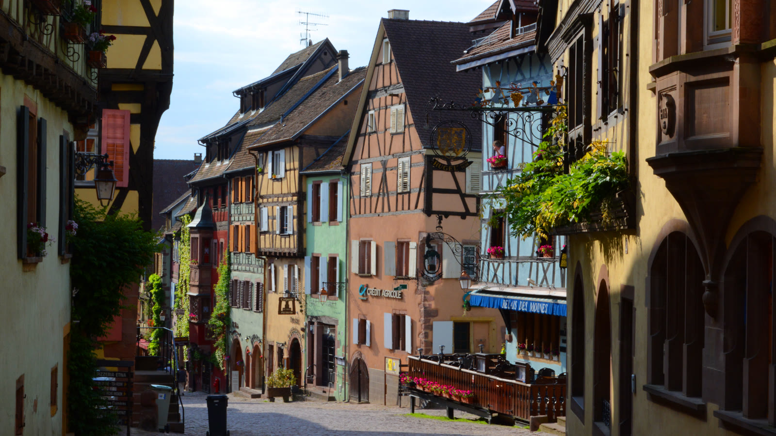 Bindingsværkshuse i forskellige farver langs en brolagt gade i vinbyen Riquewihr i Alsace