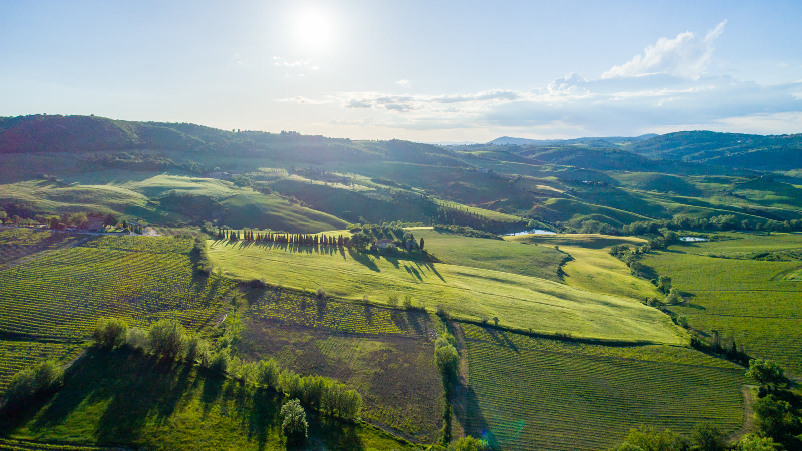 Toscansk landskab i Val d'Orcia med grønne bakker, cypresallé og gård