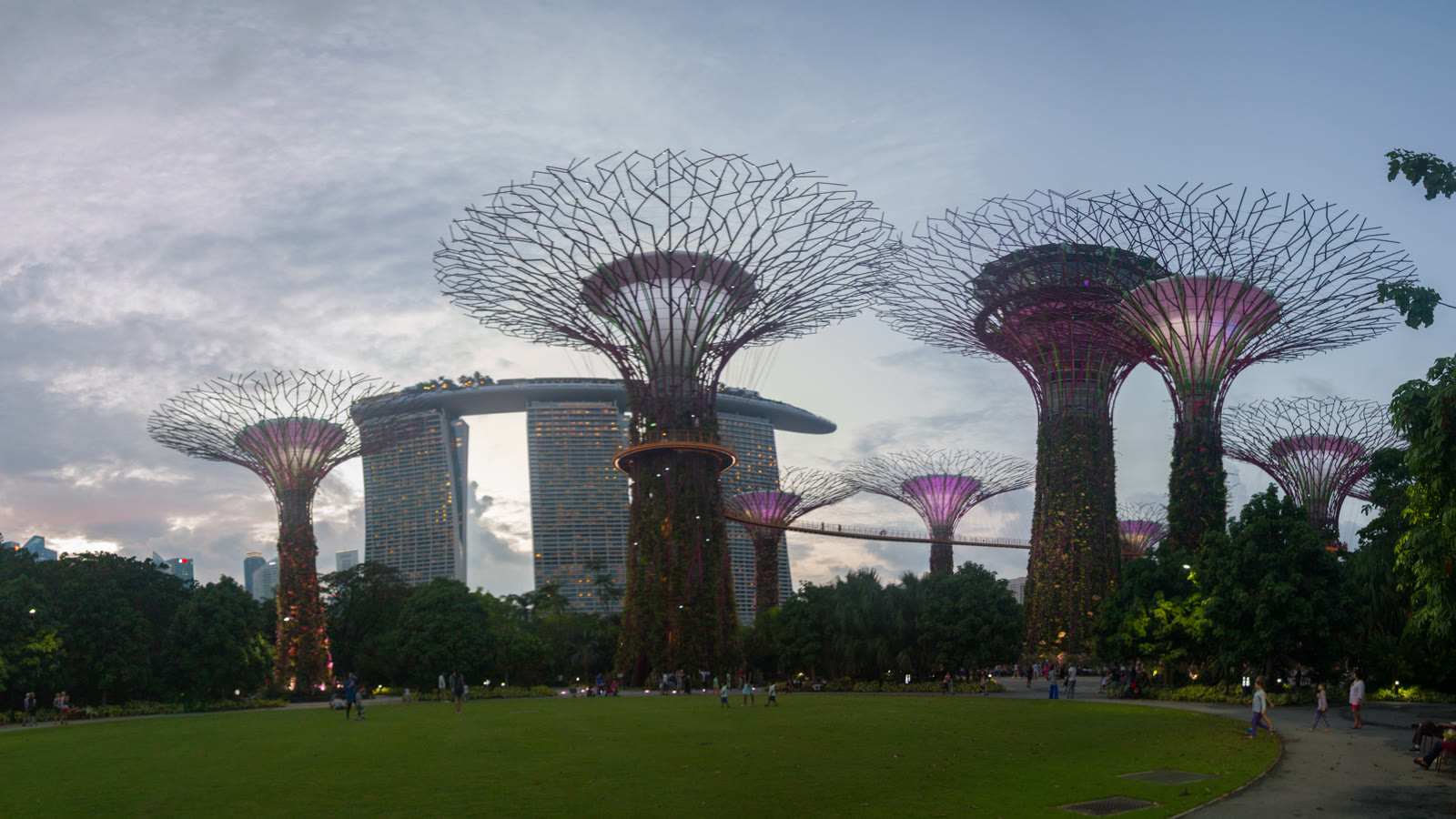 Supertree Grove i Gardens by the Bay med Marina Bay Sands i baggrunden i skumringen